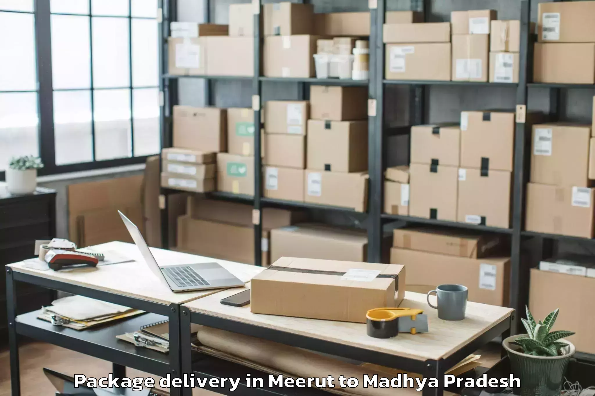 Professional Meerut to Harda Package Delivery